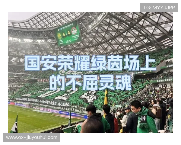 《荣耀绿茵场 梦想与汗水交织的足球传奇》