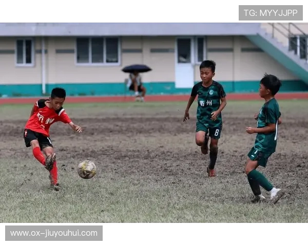 衢州少年足球队勇夺全国锦标赛冠军精彩奋斗历程深度全解析报道纪